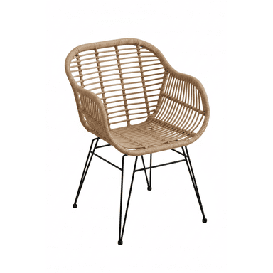 A contemporary armchair with a woven rattan seat and back, supported by a slender black metal frame with four legs. The seat and back form a continuous, rounded shell shape, with the rattan strips woven horizontally across the frame. The armrests are integrated into the rounded shape of the seat and back. — 3D model (AI enhanced source)