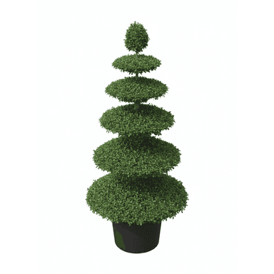 A tall, sculpted topiary plant featuring multiple tiered, disc-shaped sections of dense green foliage, set within a simple black cylindrical pot. The plant appears to be either meticulously maintained live topiary or a high-quality artificial representation. — 3D model (AI enhanced source)