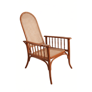 A bentwood armchair featuring a medium brown wooden frame and natural cane webbing for both the seat and the tall, arched backrest. The armrests are supported by multiple turned spindles, and the legs exhibit elegant curves characteristic of bentwood furniture. — 3D model (AI enhanced source)