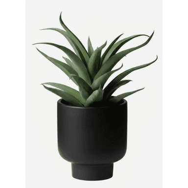 A faux potted plant featuring dark green, spiky leaves with a slight curl at the tips, housed in a matte black ceramic planter. The planter has a contemporary design with a cylindrical body and a subtly footed base. — 3D model (AI enhanced source)