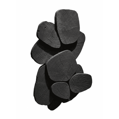 A sculptural wall-mounted art piece composed of multiple irregularly shaped, dark-colored wood slices, revealing prominent concentric tree rings and arranged in an overlapping, three-dimensional configuration. — 3D model (AI enhanced source)