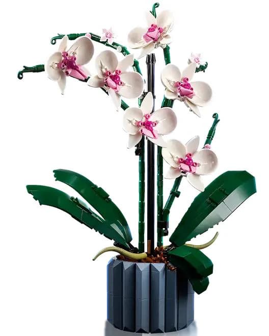 A brick-built model of a Phalaenopsis orchid, featuring white and pink flowers, dark green leaves and stems, housed in a faceted dark gray pot, appearing as a replica of a potted plant. — 3D model