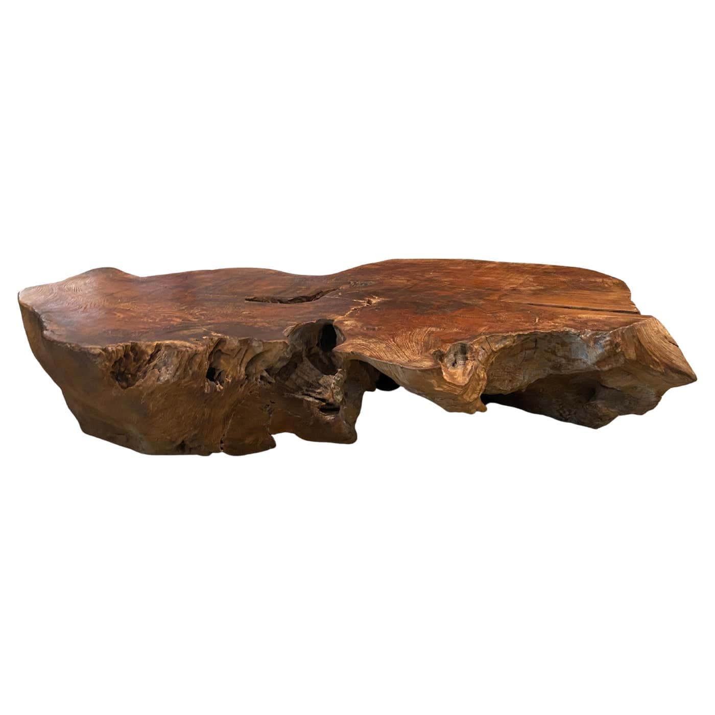 A unique coffee table crafted from a single slab of natural wood with an irregular, organic shape. T… — free SKP 3D model
