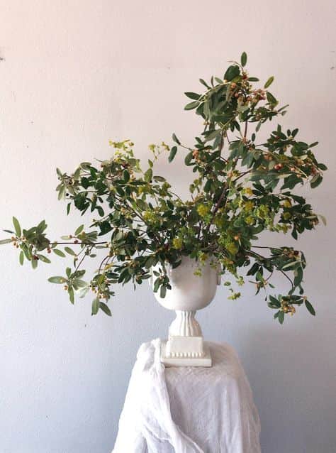 A decorative faux botanical arrangement featuring green foliage with small berries, set within a whi… — 3D model