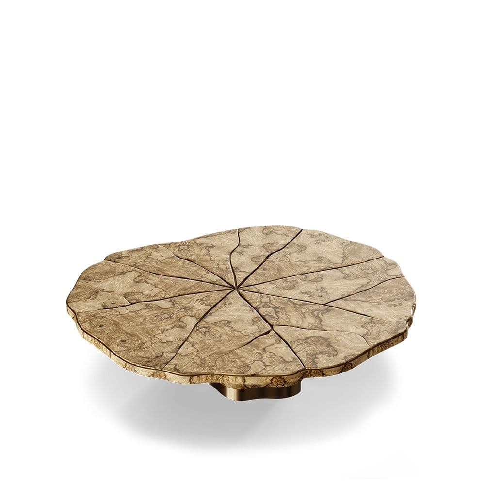 A low-profile coffee table featuring an organically shaped tabletop composed of multiple irregularly cut segments of light-colored stone or burl wood, arranged in a radial pattern. The edges of the tabletop are natural and unrefined, and it rests on a subtle, low metallic base. — 3D model